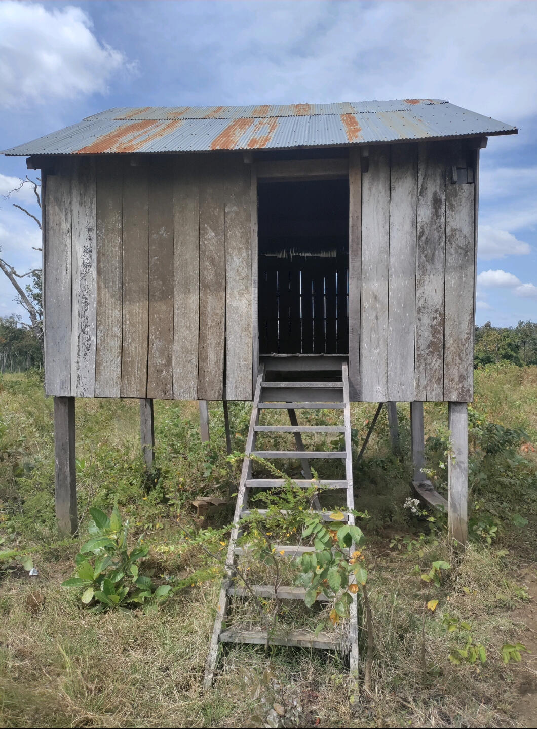 One Room Home